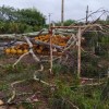 Em Três Lagoas devido aos danos causados pelo vendaval, Balneário Municipal permanecerá fechado até fim dos reparos