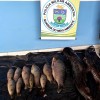 Polícia Militar Ambiental de Três Lagoas autua comerciante em R$ 5,4 mil por pescar durante a piracema no rio Verde