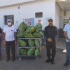 HNSA recebe doação de hortaliças por meio do projeto desenvolvido pela Penitenciária Masculina de Três Lagoas