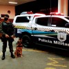 Polícia Militar atua com cães farejadores no policiamento preventivo alusivo a Operações Boas Festas em Três Lagoas