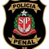Governo de SP adquire 191 veículos de escolta para a Polícia Penal e libera PM para patrulhamento