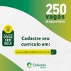 Eldorado Brasil de Três Lagoas tem 250 vagas de emprego para região