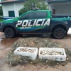 Polícia Militar Ambiental realiza grande operação em Três Lagoas