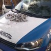 Polícia Municipal de Birigui encontrou 2 quilos de maconha jogados em um terreno do Jardim Klayton