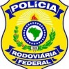 Polícia Rodoviária Federal apreende 206 Kg de maconha escondida em carga de Tereré em Três Lagoas