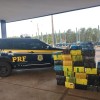 PRF apreende 756 kg de maconha em Três Lagoas neste domingo