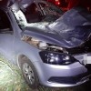 Em Junqueirópolis boi solto em rodovia provoca acidente e deixa casal ferido; homem está com ferimentos graves
