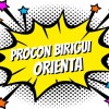 Procon de Birigui orienta consumidores para a “Black Friday”
