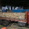 Denarc apreende mais de 150 quilos de drogas em Barbosa na região de Araçatuba