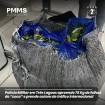 Polícia Militar de Três Lagoas apreende 75 kg de folhas de coca e prende autora de tráfico internacional