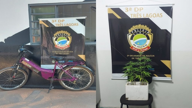 Polícia Civil de Três Lagoas identifica autor de furto de bicicleta elétrica. Ele tinha vaso com plantação de maconha