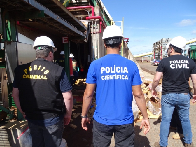Polícia Civil incinera mais de 800 kg de maconha em Três Lagoas
