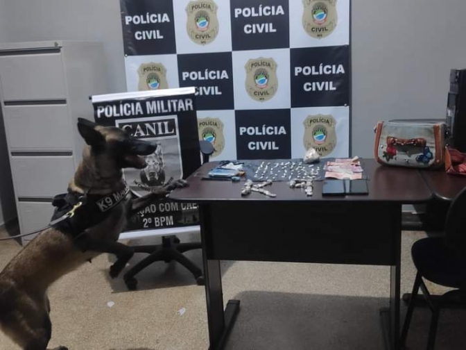 Polícia Militar em ação conjunta com Polícia Civil prende autor de Tráfico de Drogas em Selvíria