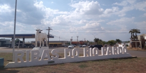 Suzano abre 20 novas vagas para suas operações florestais e industriais em Ribas do Rio Pardo (MS)