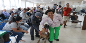EM PRESIDENTE PRUDENTE, CÃO DO CANIL DO 8º BAEP LEVA CARINHO E ESPERANÇA A PACIENTES DO HOSPITAL DE ESPERANÇA