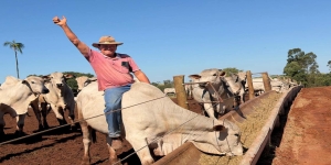 Um Novo Empreendimento Rural em Sud Mennucci:  Dim Martelo e Dr. Nelson de Assis firmam parceria de sucesso em confinamento de gado