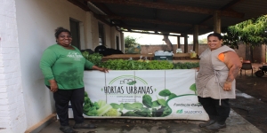 Famílias do Centro de Três Lagoas movimentam R$ 163,8 mil com produção de hortaliças apoiada pela Suzano