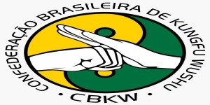 Kung Fu de Araçatuba volta a disputar Campeonato Brasileiro e conquista duas medalhas