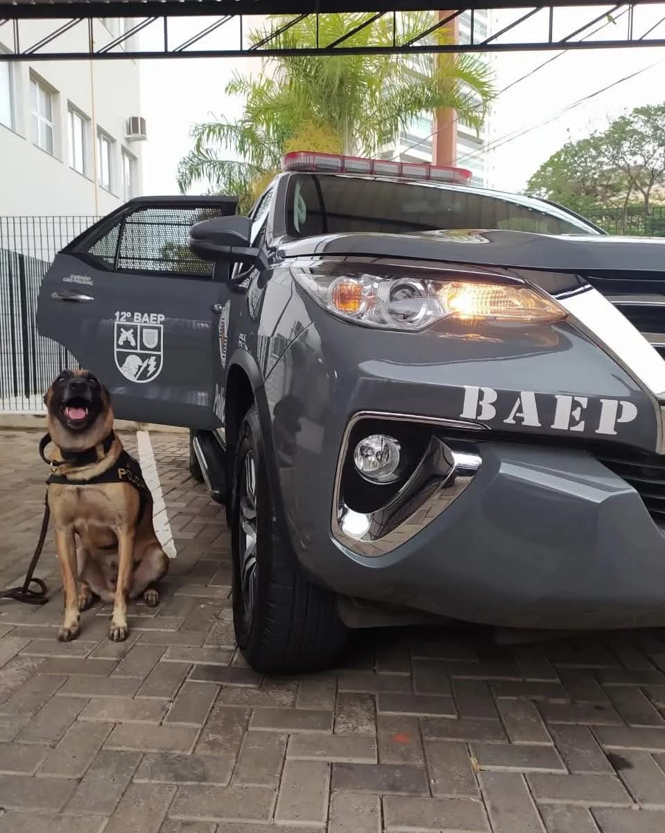 12° BAEP e Polícia Rodoviária capturam procurado com documento falso na SP 300 em Valparaíso 
