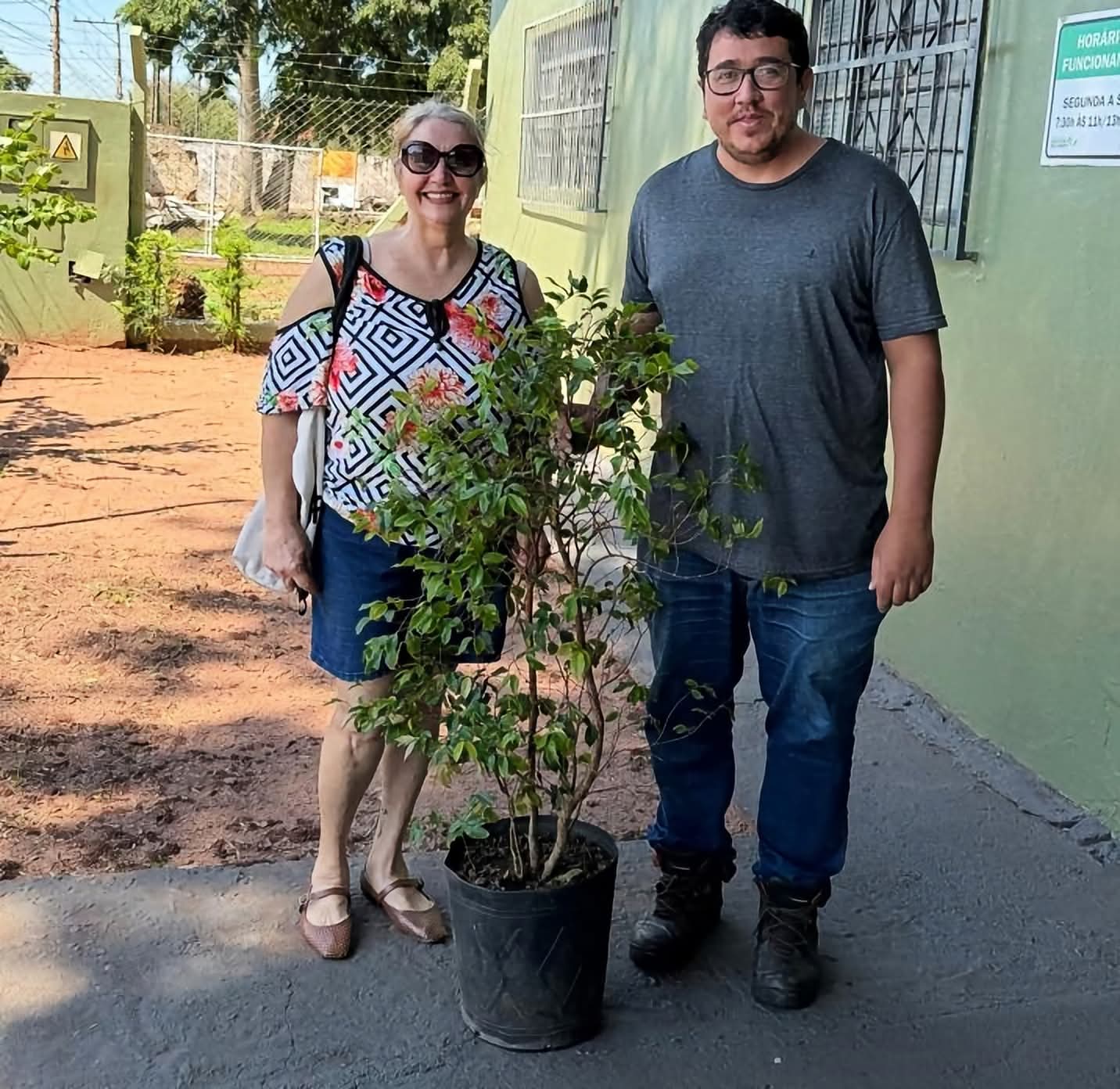 MEIO AMBIENTE REALIZA DOAÇÃO DE MUDA FRUTÍFERA PARA FORMAÇÃO DE POMAR URBANO  EM ANDRADINA 