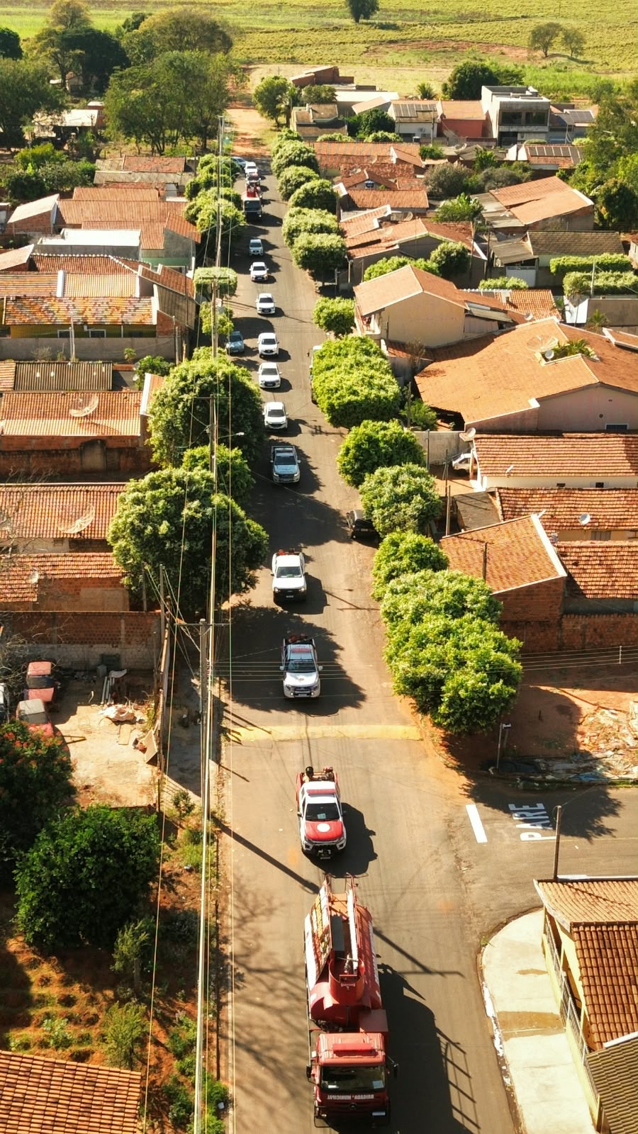 Castilho, Forças de Segurança e Viralcool realizam carreata contra incêndios e queimadas