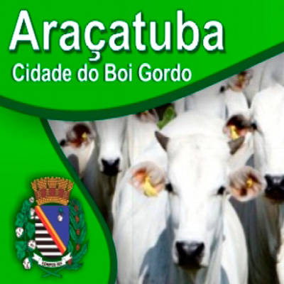 Araçatuba