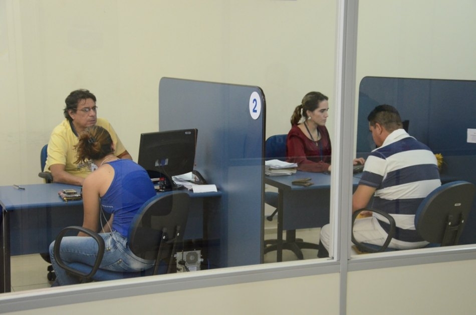 COMEÇA EM ANDRADINA A COLHEITA DA MAIOR LAVOURA DE TOMATE DA REGIÃO