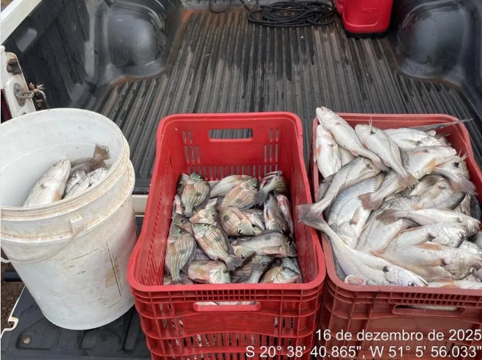 Polícia Ambiental autua pescador por pesca ilegal durante período de defeso em Pereira Barreto