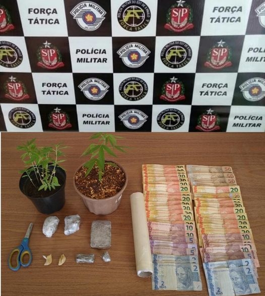 Força Tática de Araçatuba prende mulher com maconha, cocaína, dinheiro de tráfico e vasos com pés de maconha