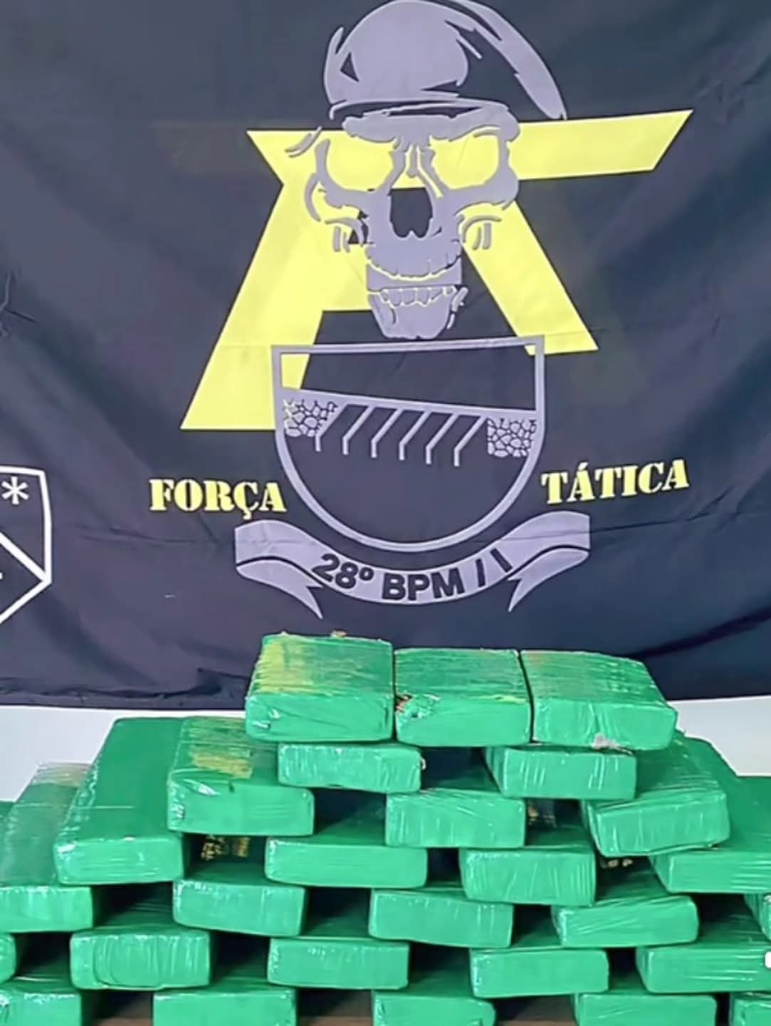Força Tática de Andradina apreende mais de 22 quilos de maconha e prende dois homens no bairro rural Timboré