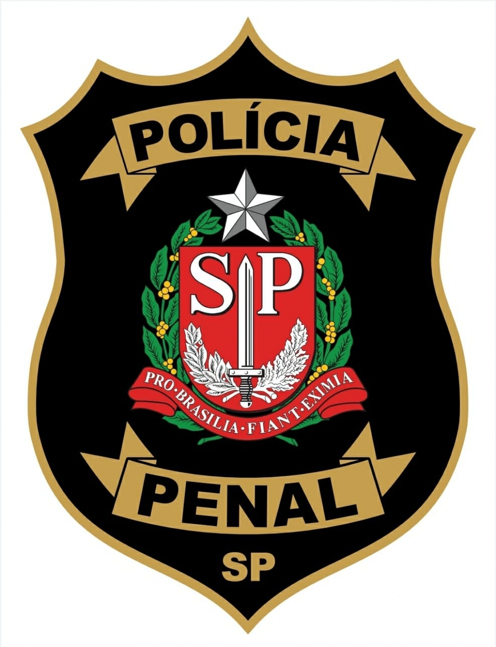 Policiais Penais do CDP de Lavínia apreendem 175 microponto de LSD e quatro papeis do PCC com visitante
