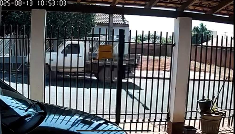 Cachorrinha é morta atropelada por caminhão em Andradina