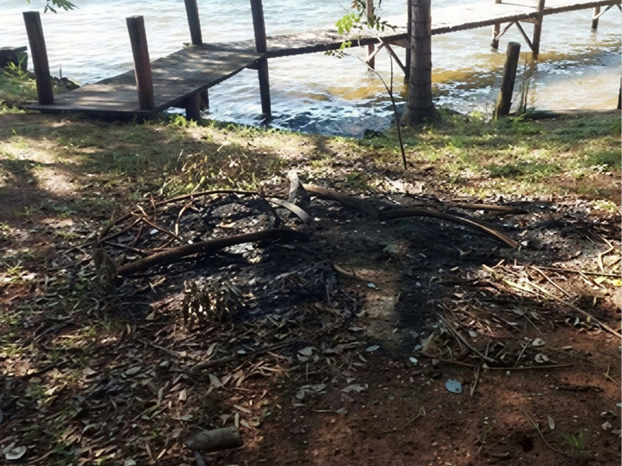 Três Lagoas: MPMS instaura inquérito civil para apurar queima irregular em APP às margens do rio Sucuriú
