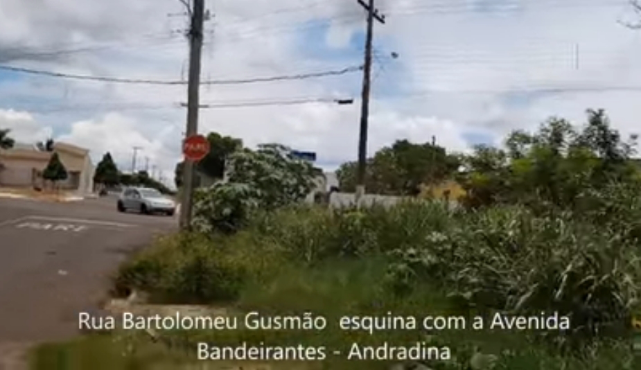 NA AVENIDA BANDEIRANTES EM ANDRADINA MATAGAL NA AVENIDA DE ACESSO, COM ASFALTO E CALÇADA