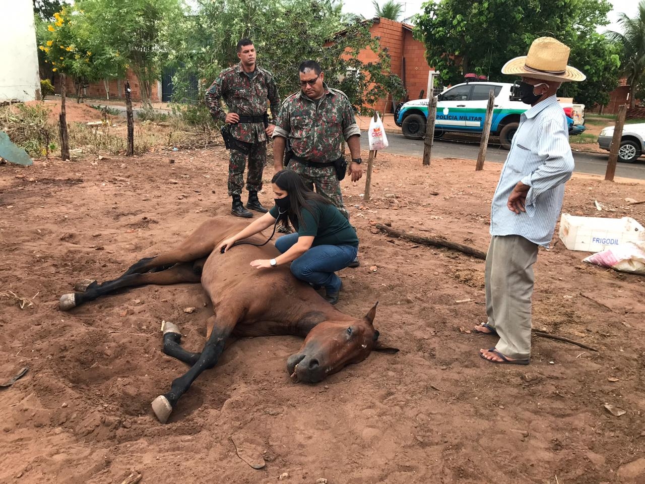 Polícia Militar Ambiental de Três Lagoas atende a denúncia de maus tratos e auxilia a idoso que cuidava de cavalo doente em fase terminal com ajuda de veterinário ao animal