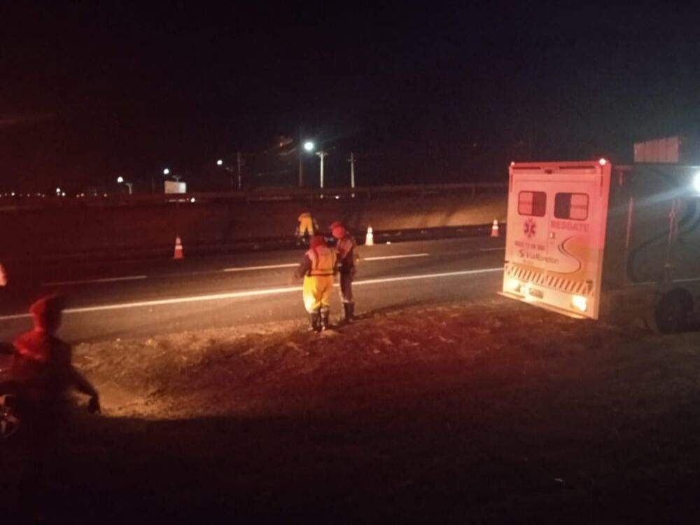 Atropelamento com vítima fatal na Rodovia Marechal Rondon em Andradina