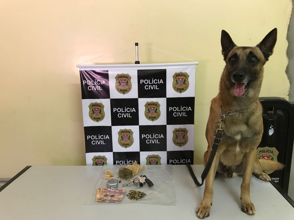 Gestante é presa em Castilho, com arma, drogas e 57 munições