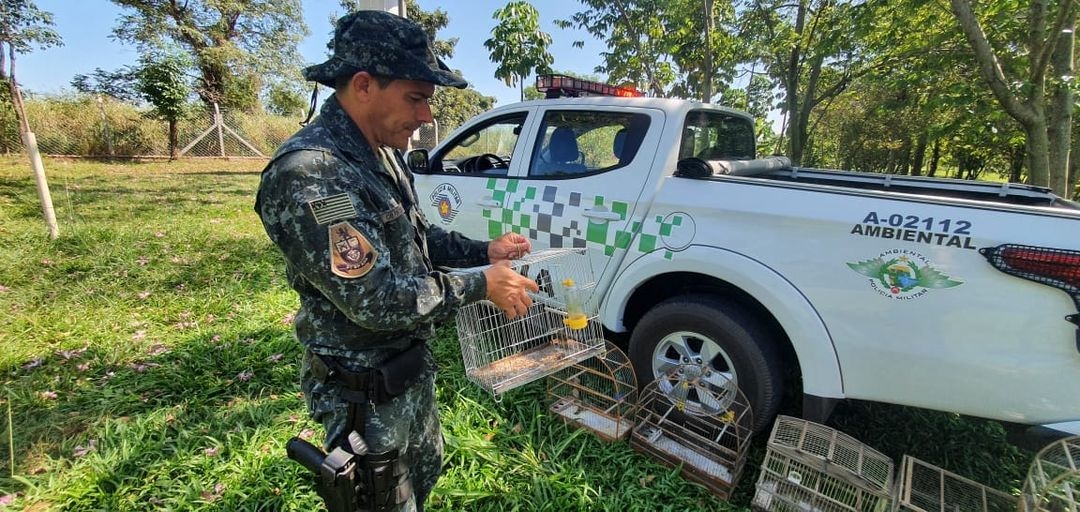 Em Andradina Polícia Ambiental multa em R$ 78 mil três pessoas por maus-tratos a animais