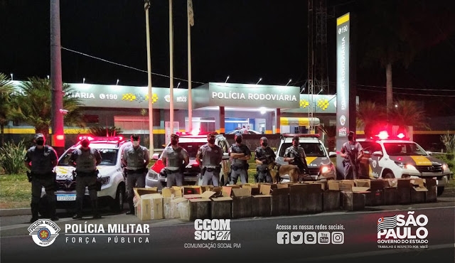 Em Araçatuba SP 300 dois são presos pelo TOR, Canil do BAEP e Polícia Rodoviária transportando 2,7 toneladas de maconha