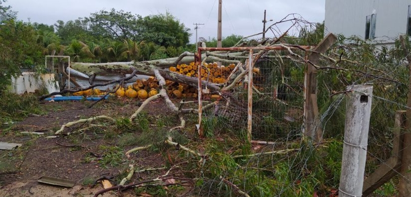 Em Três Lagoas devido aos danos causados pelo vendaval, Balneário Municipal permanecerá fechado até fim dos reparos