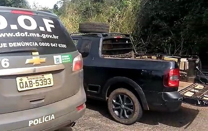 Em Andradina mula morre após provocar acidente na Marechal Rondon com dois veículos de Castilho