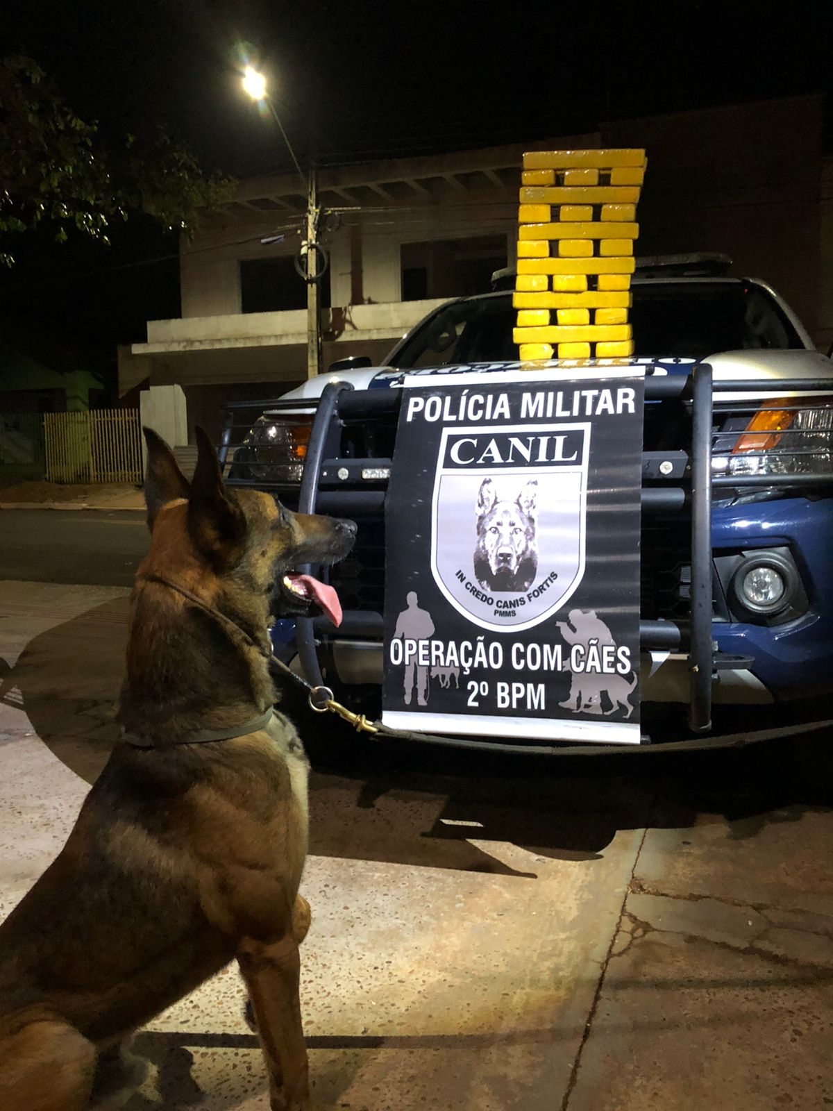 Polícia Militar – CANIL DO 2º BPM de Três Lagoas realiza apreensão de 22kg de maconha