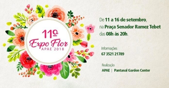 Van estaria vindo do Paraguai para Três Lagoas com munições, simulacros e remédios e sacoleira tenta jogar no vaso e acaba entupindo