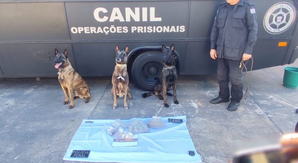 Polícia Penal realiza Operação Cães de Faro e apreende mais de 2 quilos de droga em área externa de presídios da região Oeste