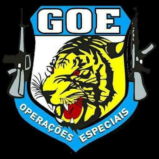GOE de Araçatuba prende suspeito de furto de semirreboque e apreende caminhão, alvo de repressão ao crime cidade de Birigui