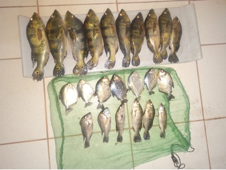 Polícia Militar Ambiental de Três Lagoas autua paulista por pesca ilegal e apreende pescado, barco, motor e petrecho de pesca
