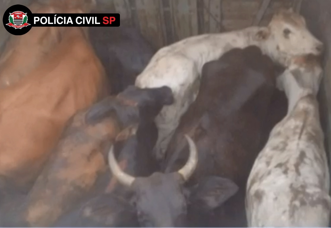 Ponte que liga Três Lagoas para Castilho é estreita demais e sempre interrompida