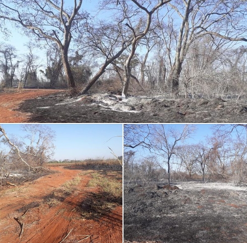NA REGIÃO DE ILHA SOLTEIRA POLÍCIA MILITAR AMBIENTAL AUTUA USINA POR FOGO