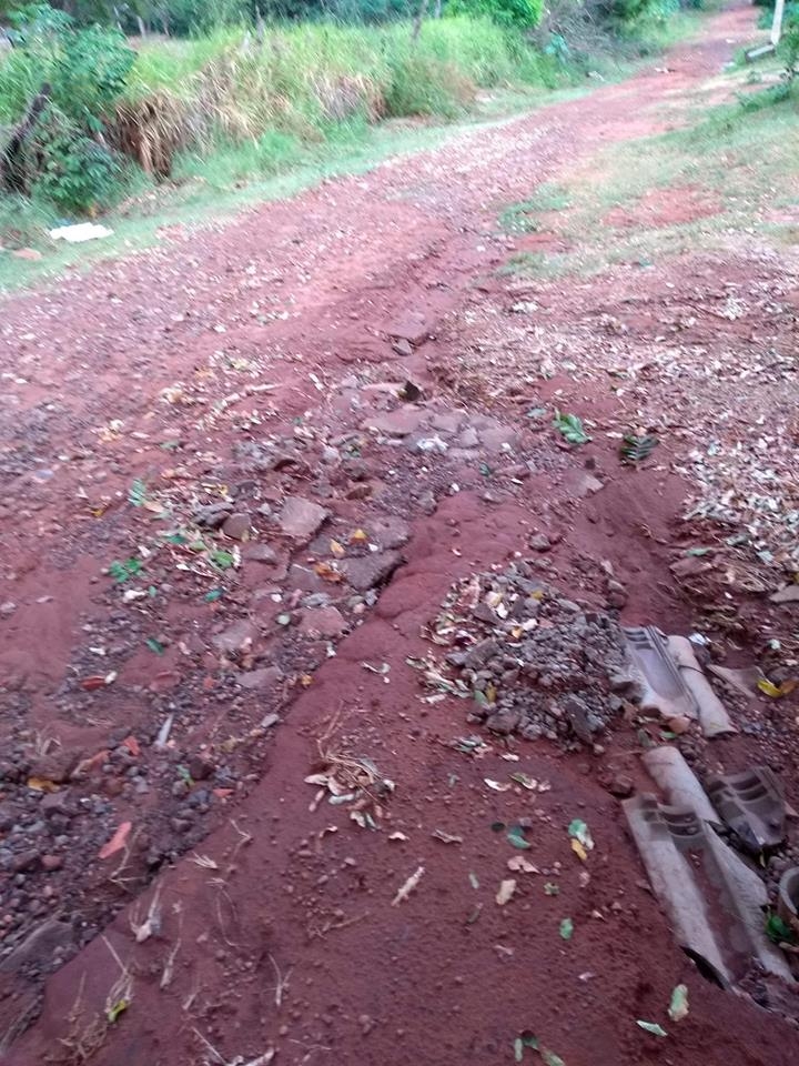 O que será que Andradina pediu para 2019 ?