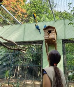 Estado aprova R$ 615 mil para Cidade da Criança e “ecozoológico” em Araçatuba